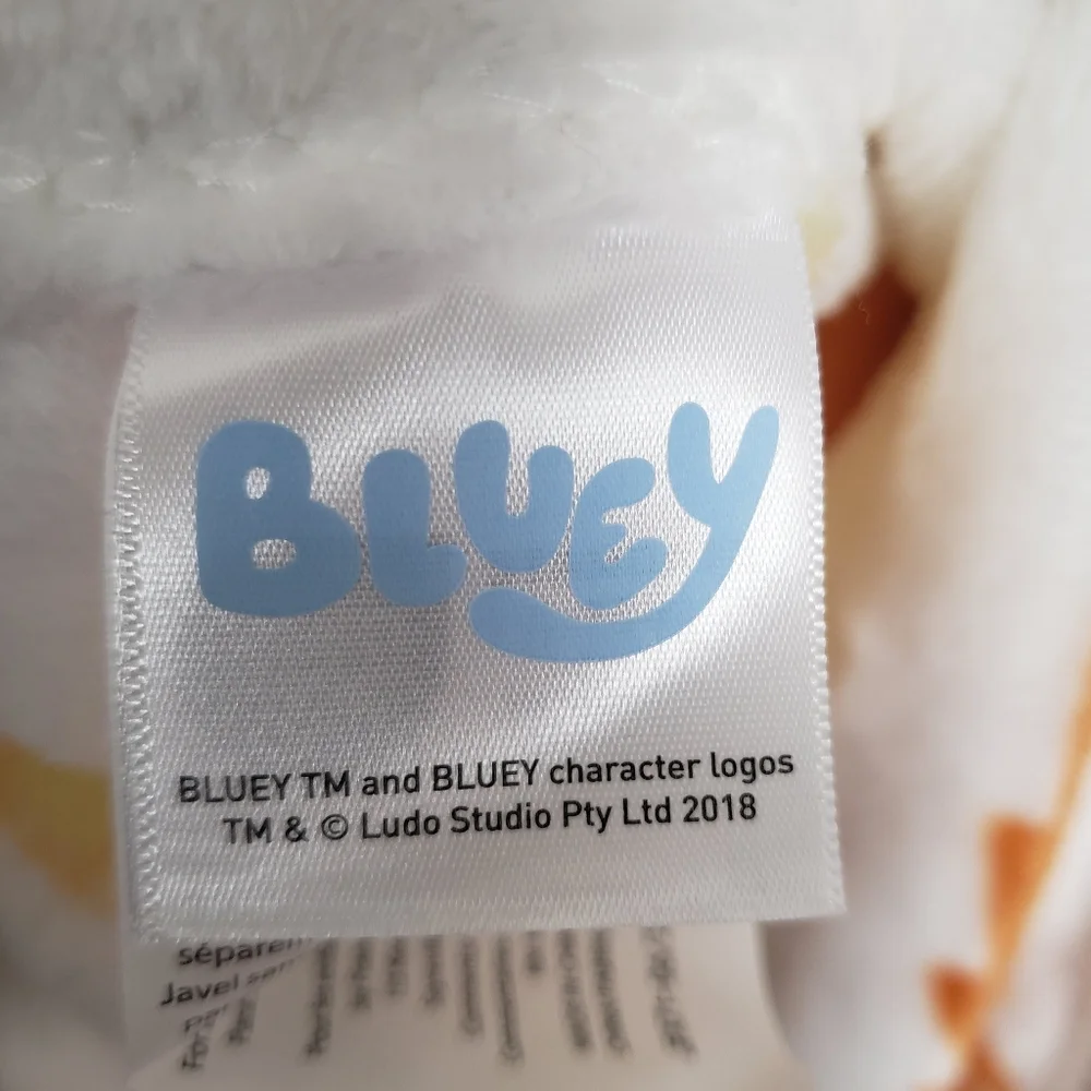 Bluey & Bingo Fall Harvest Pumpkin Plush Throw Blanket 50
